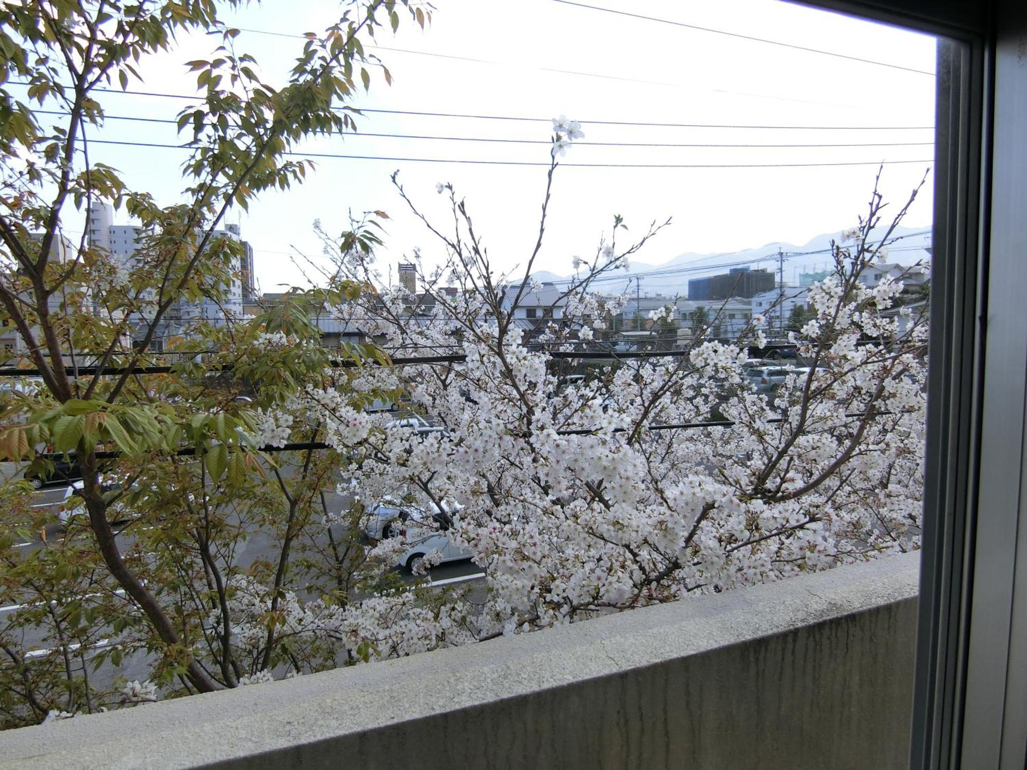 Simple Stay Beppu Cameră foto